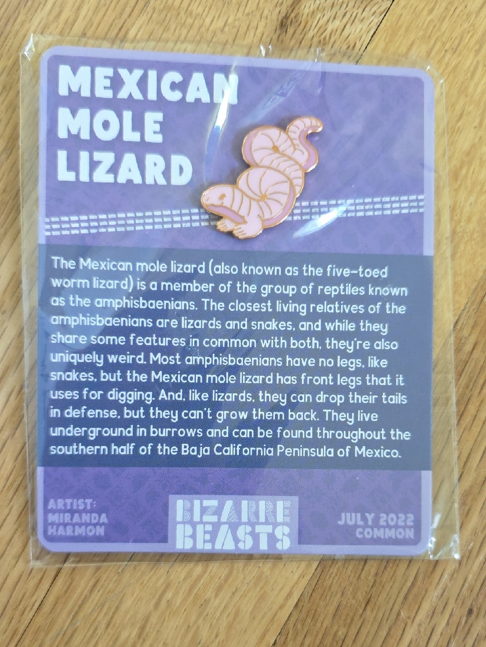 Bizarre Beasts Enamel Pin Common July 2022 Mexican Mole Lizard